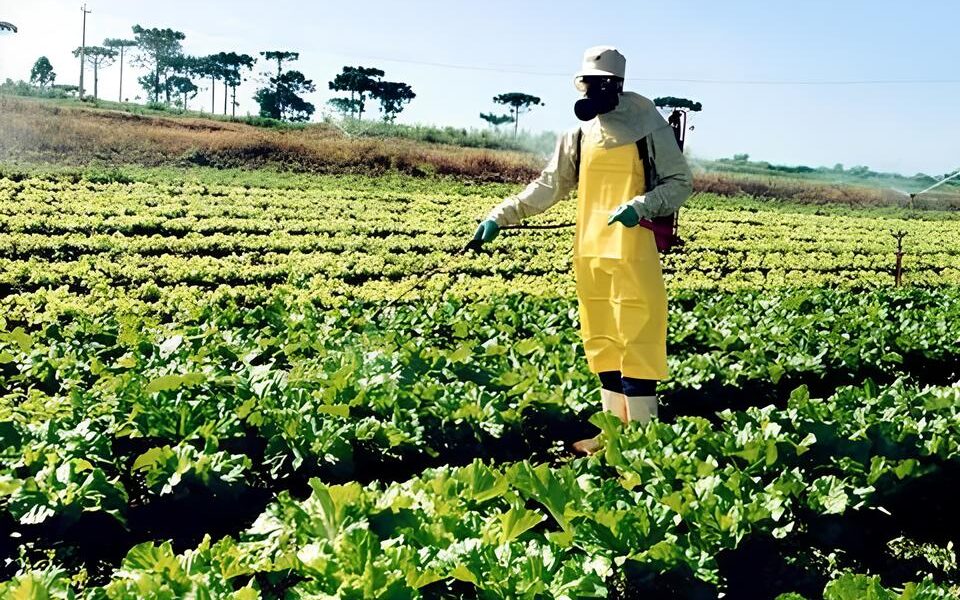 O Futuro do Campo Como a Fiscaliza o de Agrot xicos Est Transformando S o Paulo em um Laborat rio Global