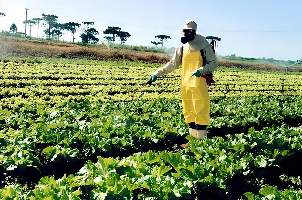 O Futuro do Campo: Como a Fiscalização de Agrotóxicos Está Transformando São Paulo em um Laboratório Global 1