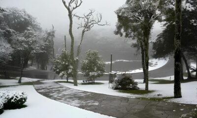 O Inverno Chega com For a em Campinas Um Fim de Semana de Contrastes Clim ticos e Eventos Imperd veis