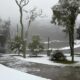 O Inverno Chega com For a em Campinas Um Fim de Semana de Contrastes Clim ticos e Eventos Imperd veis
