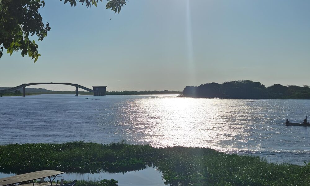 O Pantanal Sem Asas Como a Suspens o de Voos e a Muralha de Fogo Est o Mudando o Destino de Corumb