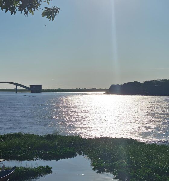 O Pantanal Sem Asas: Como a Suspensão de Voos e a Muralha de Fogo Estão Mudando o Destino de Corumbá 2 O Pantanal Sem Asas Como a Suspens o de Voos e a Muralha de Fogo Est o Mudando o Destino de Corumb
