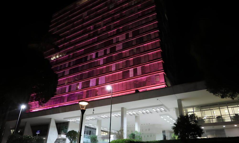 Opera o em Desmanches de Campinas O Que H Por Tr s das Pe as Sem Identifica o