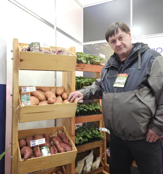 Os Alimentos do Futuro Estão Aqui: Como a Hortitec 2025 Revoluciona o Combate ao Desperdício e à Fome Oculta 2 Os Alimentos do Futuro Est o Aqui Como a Hortitec 2025 Revoluciona o Combate ao Desperd cio e Fome Oculta