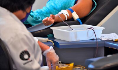 Por Que Amparo Est no Centro das Aten es Nesta Ter a Feira A Import ncia de Uma Simples Doa o de Sangue