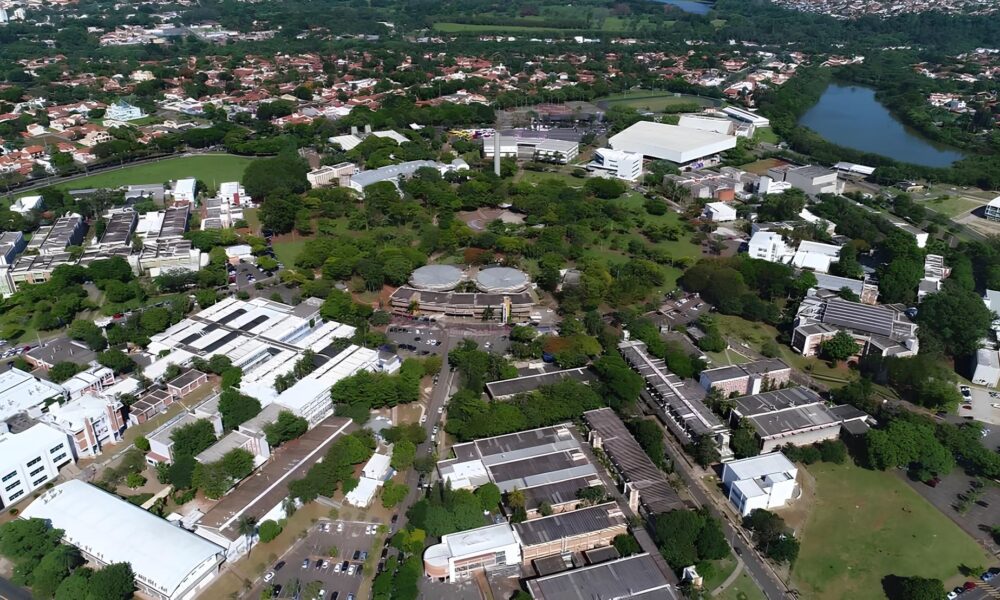 Por Que Campinas o Novo Eldorado do Interior Brasileiro Descubra os Segredos de uma Cidade que Conquista Investidores Globais