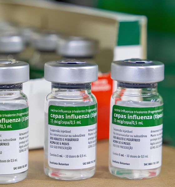 Proteção em Foco: Campinas Convida Todos para Uma Batalha Decisiva Contra a Gripe 2 Prote o em Foco Campinas Convida Todos para Uma Batalha Decisiva Contra a Gripe