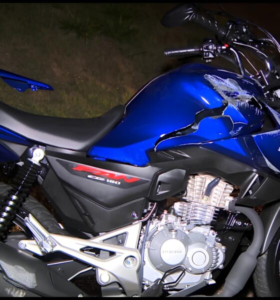 Quando Urbano Encontra Rural: A Colisão Entre Moto e Charrete Que Abalou Campinas 2 Quando Urbano Encontra Rural A Colis o Entre Moto e Charrete Que Abalou Campinas