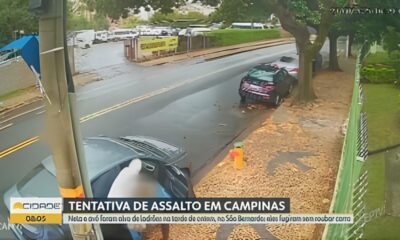 Quando a Rotina Vira um Pesadelo O Dia em que Av e Neta Enfrentaram o Caos em Campinas