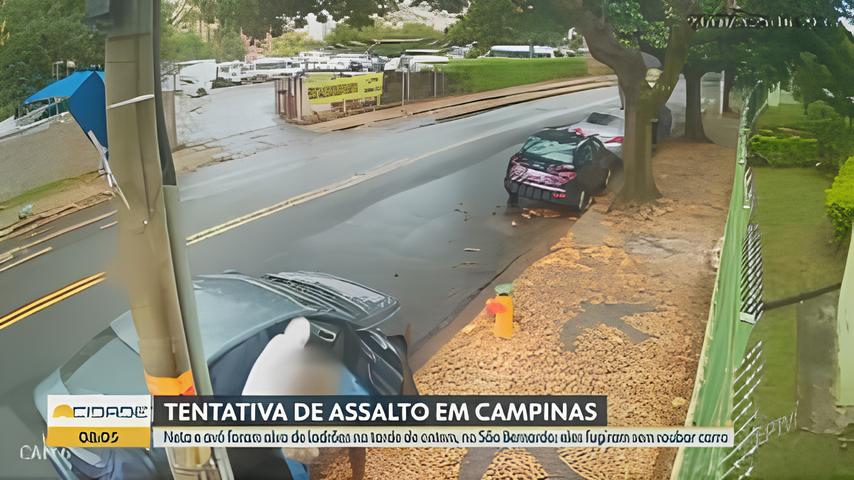 Quando a Rotina Vira um Pesadelo O Dia em que Av e Neta Enfrentaram o Caos em Campinas