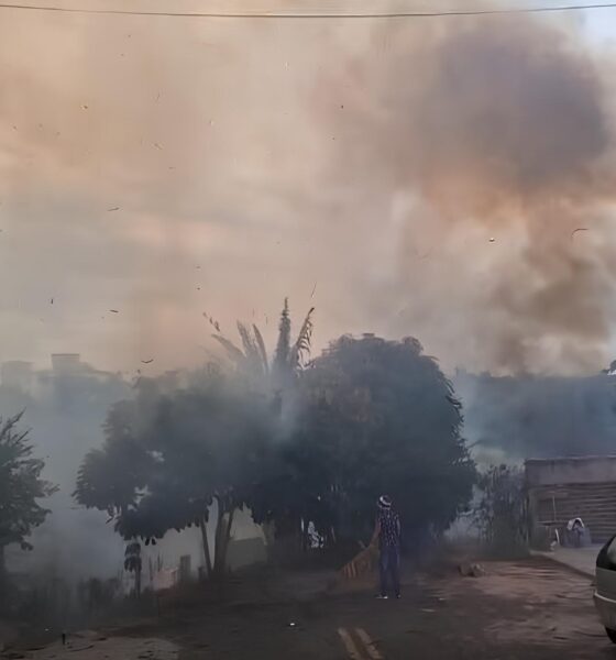 Quando o Fogo Invadiu Valinhos: O Dia em que a Mata se Tornou uma Ameaça para Casas e Corações 2 Quando o Fogo Invadiu Valinhos O Dia em que a Mata se Tornou uma Amea a para Casas e Cora es