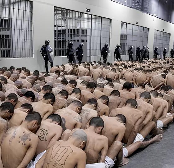 Quando um nibus se Torna um Campo de Batalha A Hist ria do Homem que Transportava 30 Pacotes de Haxixe Presos ao Corpo