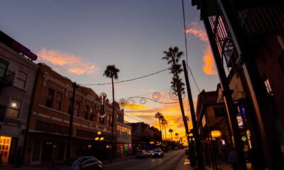 Tampa Bay Noite O Guia Definitivo para Explorar a Alma Pulsante da Cidade Sob as Estrelas
