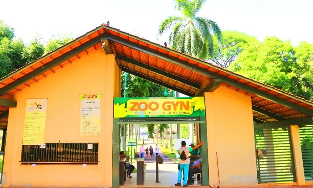 Zool gico de Goi nia Reabre Suas Portas O Que Aconteceu e Por Que Isso Importa Para Voc