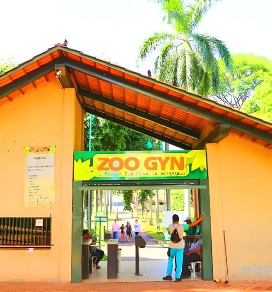 Zoológico de Goiânia Reabre Suas Portas: O Que Aconteceu e Por Que Isso Importa Para Você 2 Zool gico de Goi nia Reabre Suas Portas O Que Aconteceu e Por Que Isso Importa Para Voc