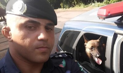 A Chama Que N o Apagou A Tr gica Hist ria de Coragem e Sacrif cio de um GCM em Valinhos