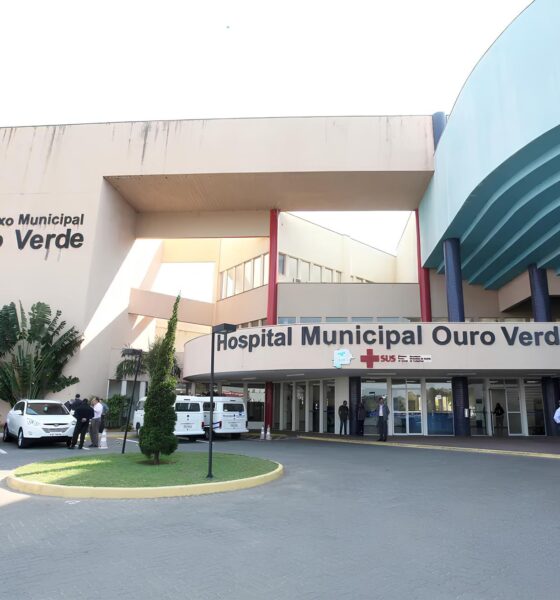 A Epidemia Silenciosa Como a Obesidade Infantil Est Transformando a Sa de de Campinas