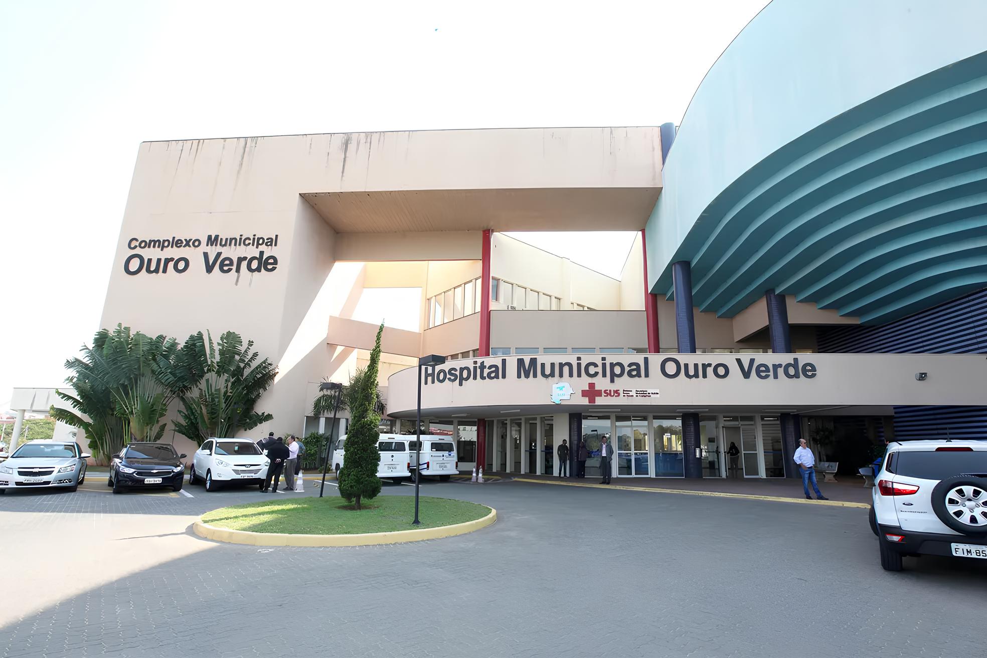A Epidemia Silenciosa Como a Obesidade Infantil Est Transformando a Sa de de Campinas