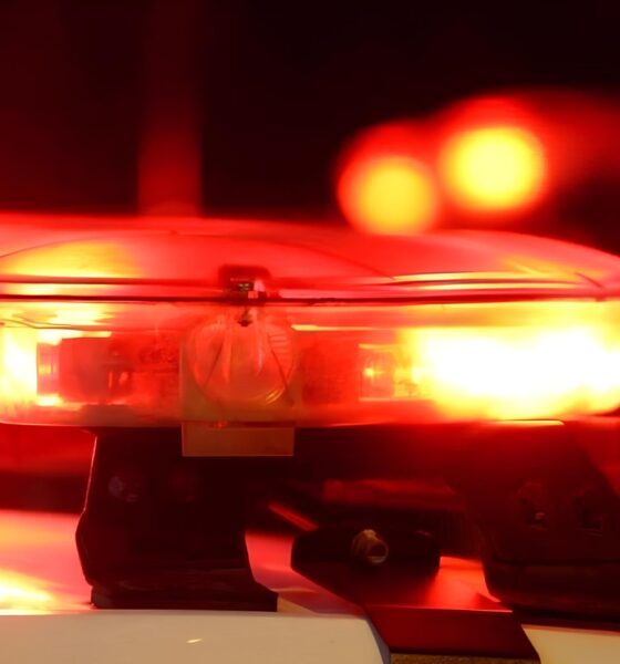 A Noite em que o Medo Explodiu: O Caso do Homem que Matou um Coelho e Tentou Incendiar uma Casa em Muriaé 2 A Noite em que o Medo Explodiu O Caso do Homem que Matou um Coelho e Tentou Incendiar uma Casa em Muria