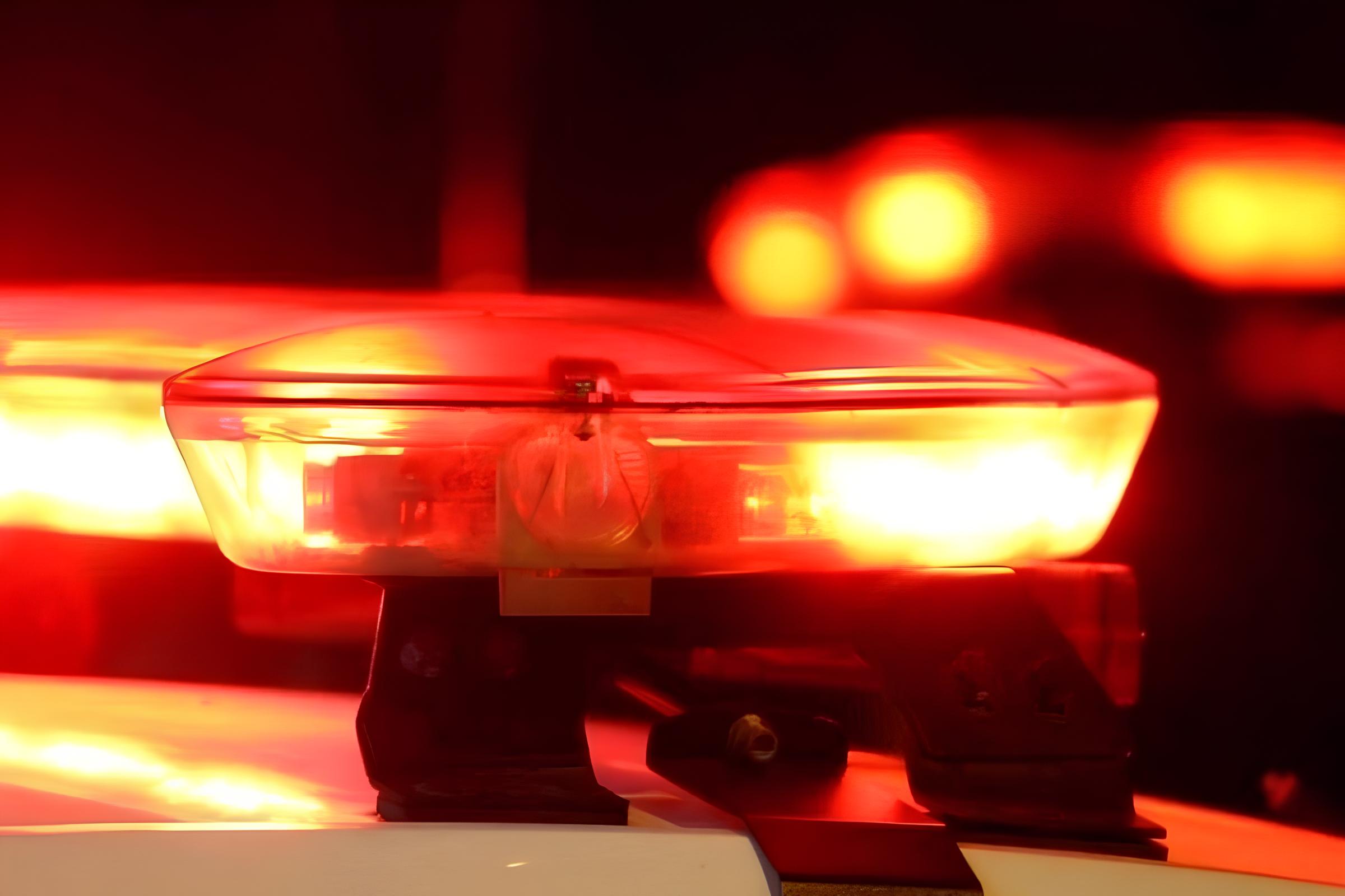 A Noite em que o Medo Explodiu: O Caso do Homem que Matou um Coelho e Tentou Incendiar uma Casa em Muriaé 1