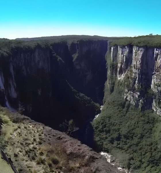 Cânion Fortaleza: O Dia em que o Desespero Ecoou nas Montanhas da Serra Gaúcha 2 C nion Fortaleza O Dia em que o Desespero Ecoou nas Montanhas da Serra Ga cha