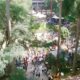 Campinas em Festa A Pra a Carlos Gomes Recebe o Festival Gastron mico Que Encanta a Cidade