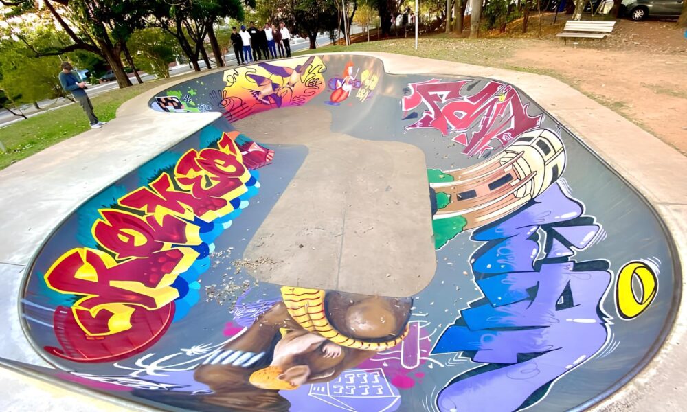 Como Uma Pista de Skate em Sousas se Tornou o Palco de uma Revolu o Cultural em Campinas