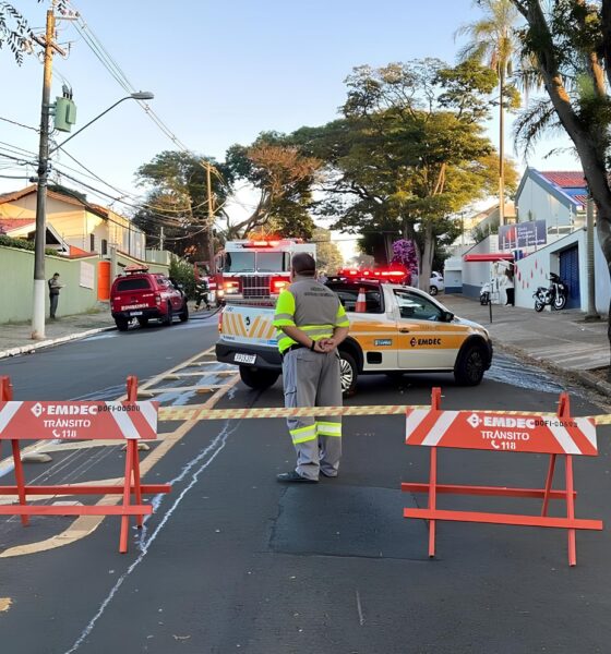 Como o Jogo da Copa Paulista e um Trânsito Caótico Podem Revelar a Alma de Campinas 2 Como o Jogo da Copa Paulista e um Tr nsito Ca tico Podem Revelar a Alma de Campinas