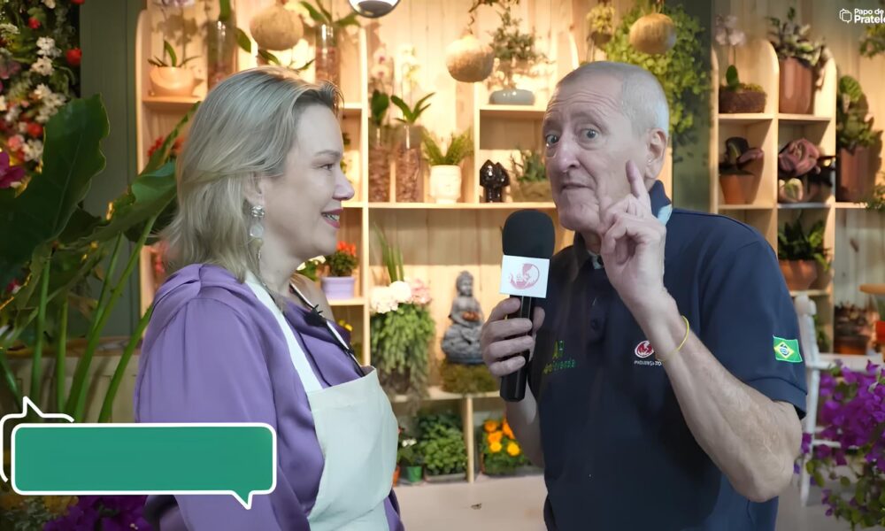 Como o Mercado de Flores de Campinas Est Transformando a Regi o em um Jardim Encantado