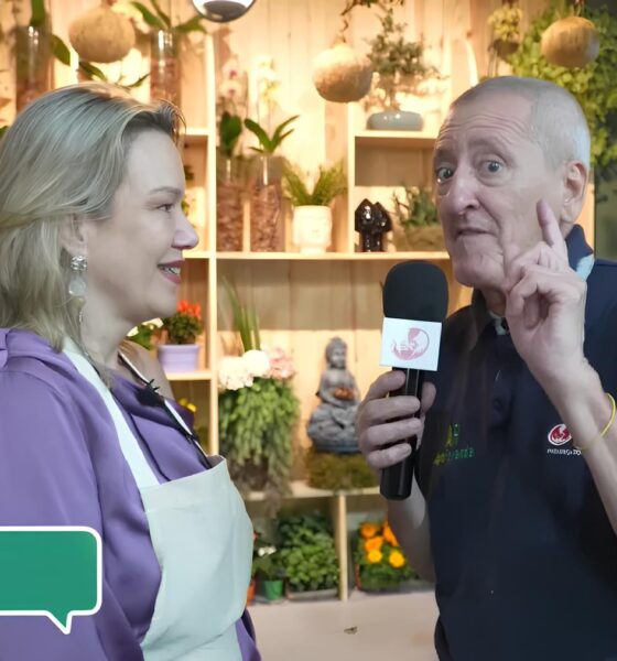 Como o Mercado de Flores de Campinas Est Transformando a Regi o em um Jardim Encantado