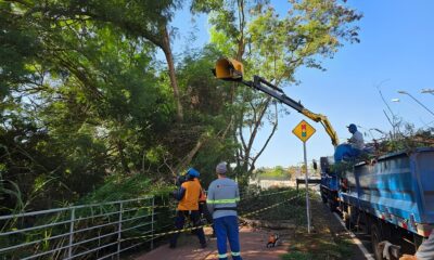 De Norte a Sul Como Ribeir o Preto Est Redefinindo o Conceito de Cidade Limpa e Sustent vel