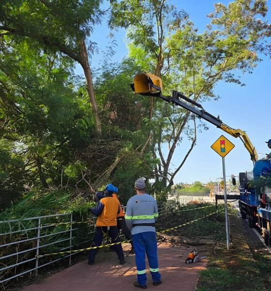 De Norte a Sul Como Ribeir o Preto Est Redefinindo o Conceito de Cidade Limpa e Sustent vel