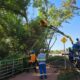 De Norte a Sul Como Ribeir o Preto Est Redefinindo o Conceito de Cidade Limpa e Sustent vel
