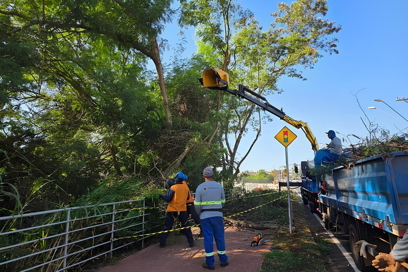 De Norte a Sul Como Ribeir o Preto Est Redefinindo o Conceito de Cidade Limpa e Sustent vel