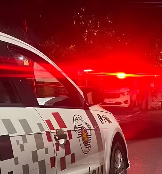 Encontrado Morto Dentro de Bueiro: O Mistério do Homem do Parque São Quirino 2 Encontrado Morto Dentro de Bueiro O Mist rio do Homem do Parque S o Quirino