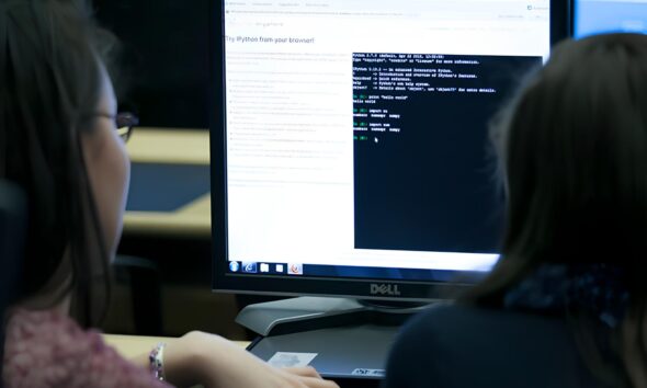 Holambra em Alta Por Que a Cidade Est Atraindo Empreendedores e Transformando Sonhos em Neg cios