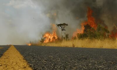 O Calor Est Queimando o Futuro Como a Regi o de Campinas Enfrenta o Alarmante Risco de Inc ndios Florestais