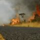O Calor Est Queimando o Futuro Como a Regi o de Campinas Enfrenta o Alarmante Risco de Inc ndios Florestais