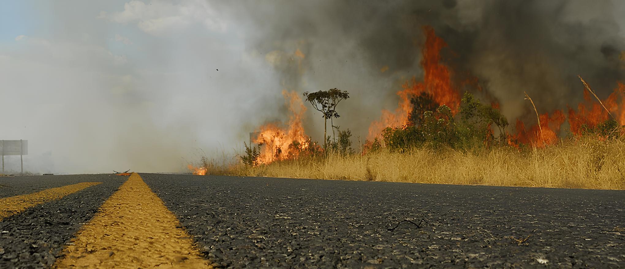 O Calor Está Queimando o Futuro? Como a Região de Campinas Enfrenta o Alarmante Risco de Incêndios Florestais 1 O Calor Est Queimando o Futuro Como a Regi o de Campinas Enfrenta o Alarmante Risco de Inc ndios Florestais