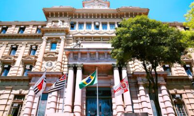 O Caso do Cachorro que Movimentou os Tribunais Justi a de SP Decide Sobre Pens o Aliment cia para Animais em Div rcio Controverso