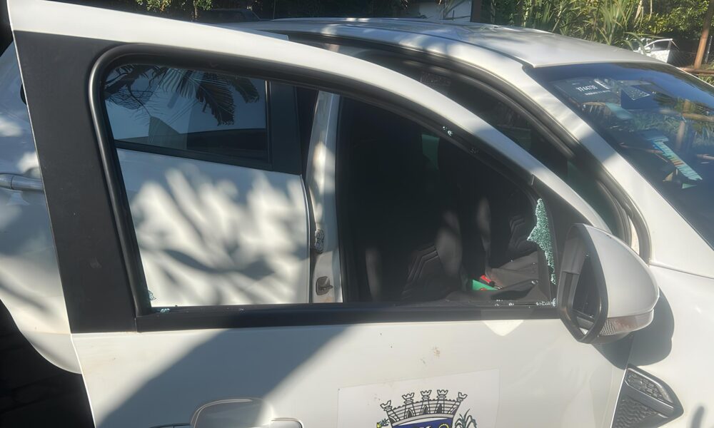 O Caso dos Estepe Furtados Um Crime Bizarro que Revela Falhas e Ensina Li es Preciosas
