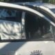 O Caso dos Estepe Furtados Um Crime Bizarro que Revela Falhas e Ensina Li es Preciosas