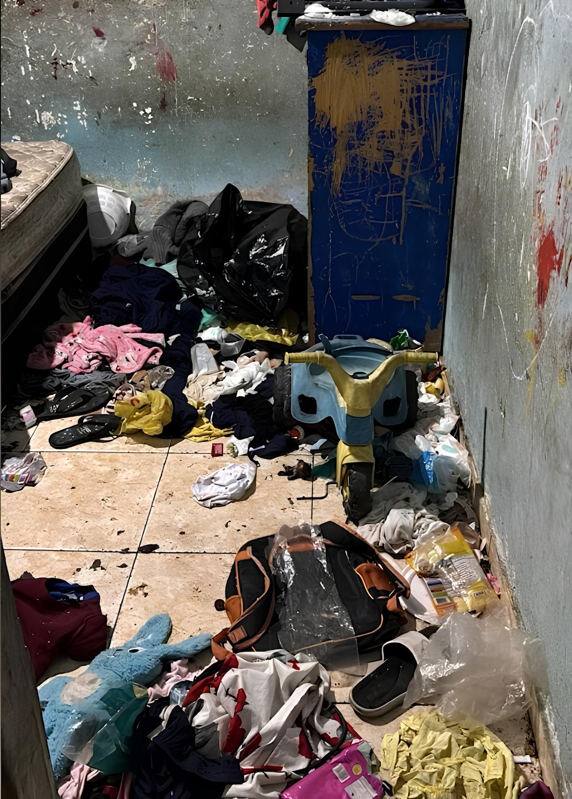 O Caso que Abalou Campinas: A Trágica Morte de uma Bebê em um Lar Tomado pelo Caos 1 O Caso que Abalou Campinas A Tr gica Morte de uma Beb em um Lar Tomado pelo Caos