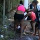 O Caso que Abalou o Brasil Namorada Virtual de Adolescente Confesso Sugeriu Canibalismo Ap s Assassinato da Fam lia