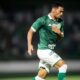 O Legado do Bugre Como o Guarani Futebol Clube Continua a Escrever Sua Hist ria de Gl rias e Desafios