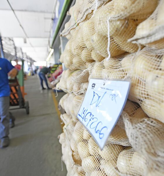 O Mercado de Alimentos em Transformação: Por Que os Ovos Estão Mais Baratos Enquanto Frutas e Legumes Disparam? 2 O Mercado de Alimentos em Transforma o Por Que os Ovos Est o Mais Baratos Enquanto Frutas e Legumes Disparam