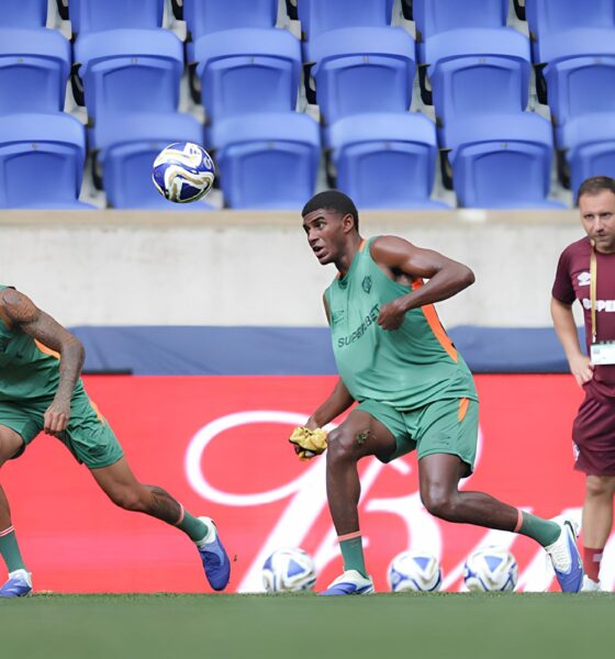 O Patinho Feio que Encantou o Mundo: Fluminense na Final da Copa do Mundo de Clubes 2 O Patinho Feio que Encantou o Mundo Fluminense na Final da Copa do Mundo de Clubes