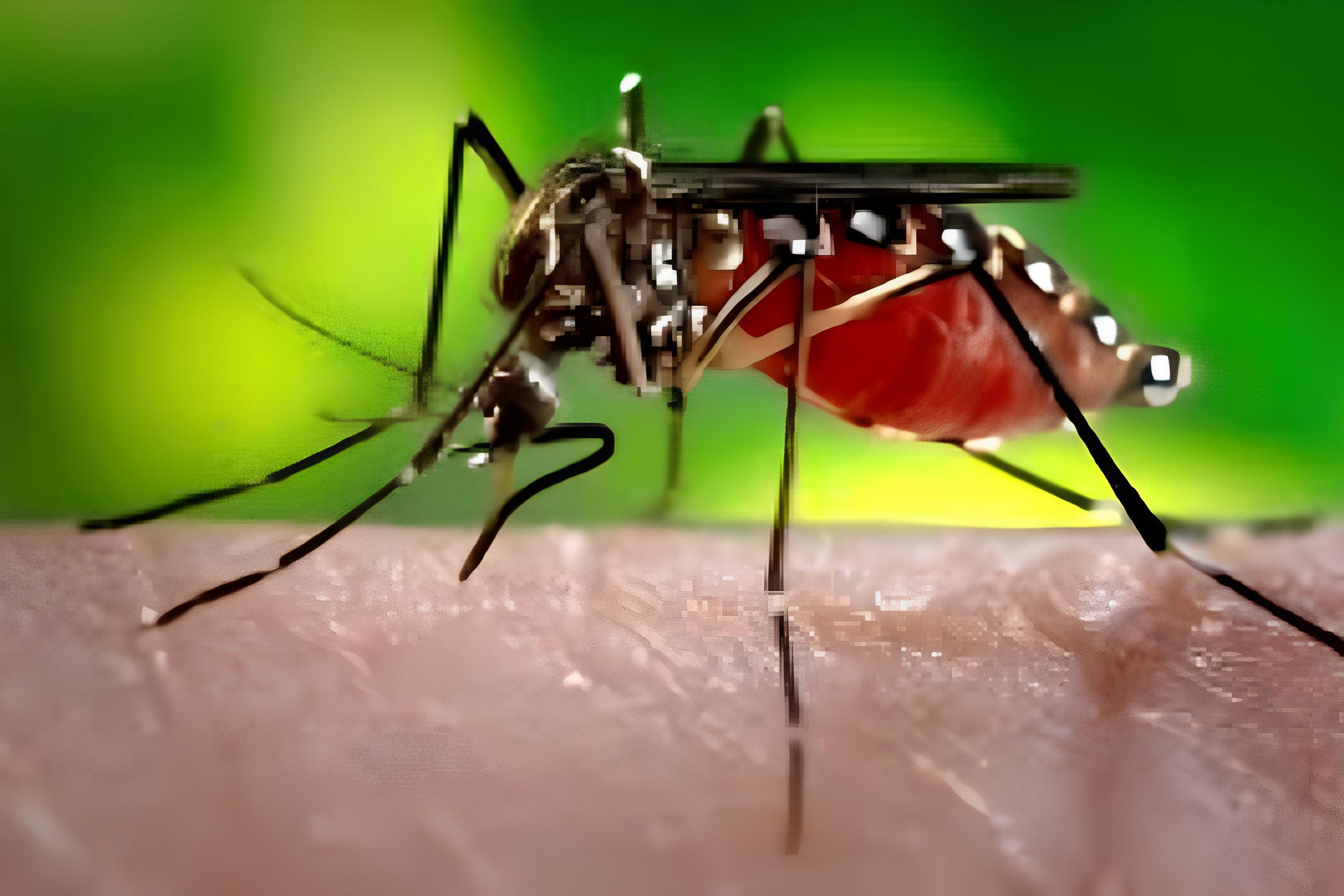 O Que Está Por Trás do Número Alarmante: São Paulo e a Trágica Marca de Mil Mortes por Dengue em 2025 1 O Que Est Por Tr s do N mero Alarmante S o Paulo e a Tr gica Marca de Mil Mortes por Dengue em 2025