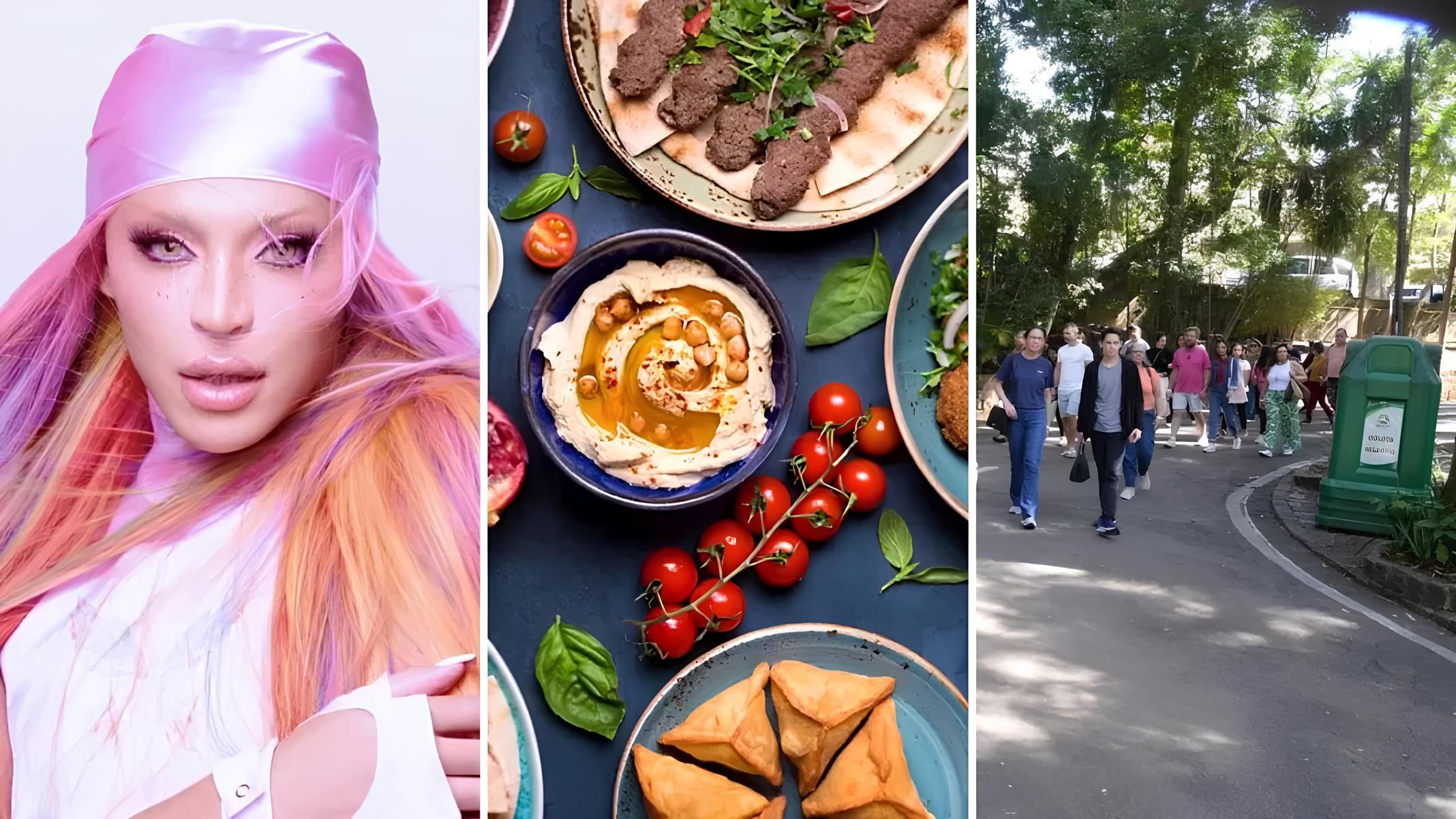 O Que Fazer em Campinas Neste Fim de Semana: Uma Jornada Cultural, Musical e Gastronômica 1 O Que Fazer em Campinas Neste Fim de Semana Uma Jornada Cultural Musical e Gastron mica