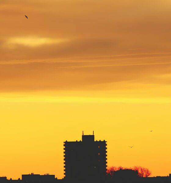 O Sinal Vermelho do Clima: Como a Baixa Umidade Coloca Campinas e Região em Alerta Amarelo 2 O Sinal Vermelho do Clima Como a Baixa Umidade Coloca Campinas e Regi o em Alerta Amarelo